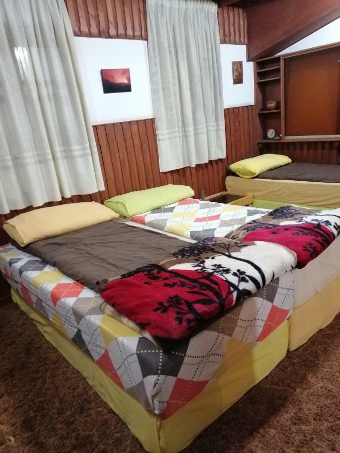 Tiger House Guest House Бишари Экстерьер фото